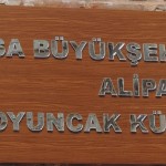 DSCN2871